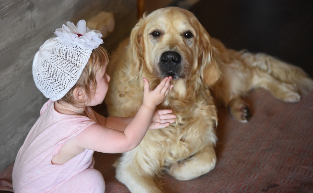 Kind &amp; Hund Dt. Gesellschaft für Tiergestützte Therapie e.V.